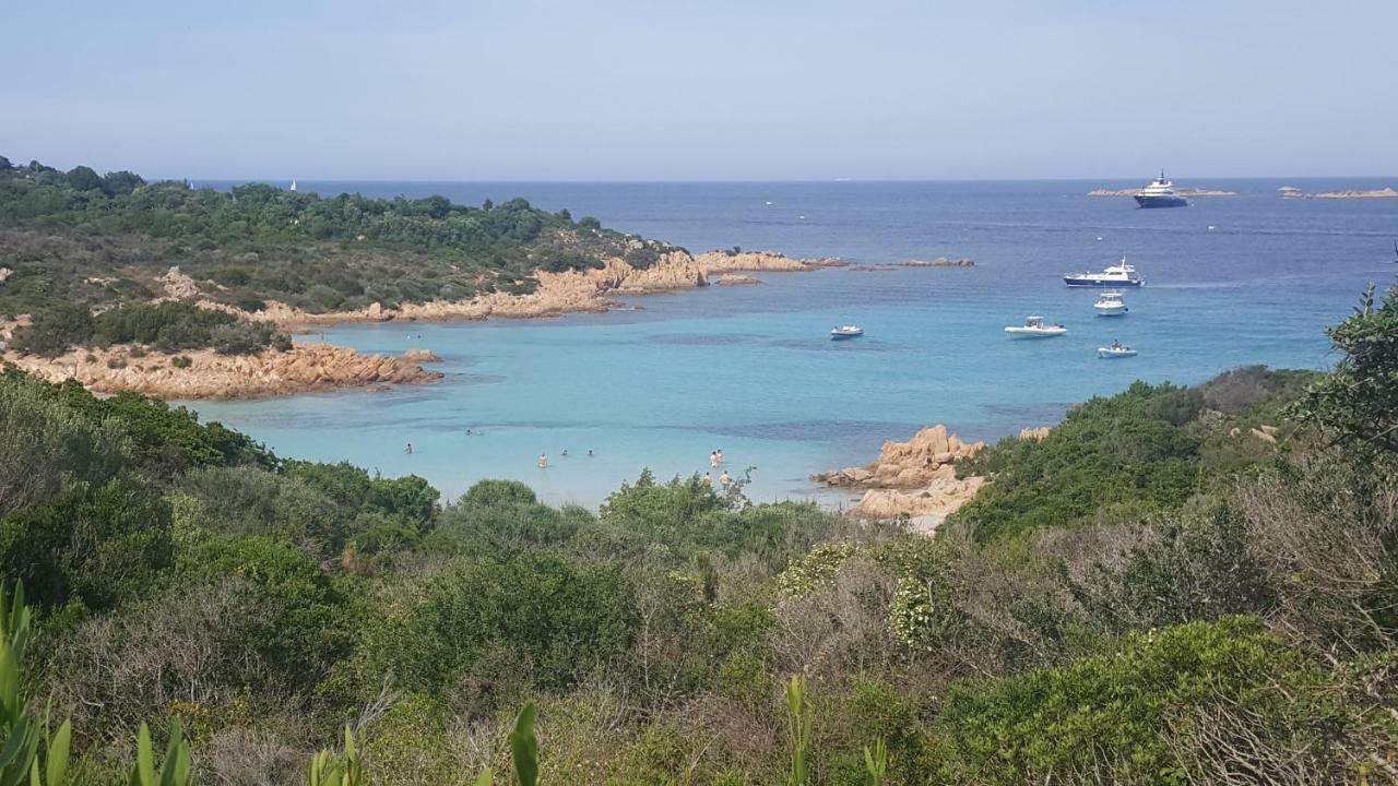 Valevalehome - Home Gallery With Fully Equipped Kitchen, Reserved Parking, Big Garden Olbia Exteriér fotografie